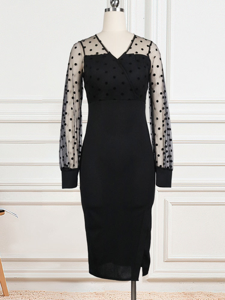 Women Sheer Long Sleeves Polka Dot Bodycon Dress Office Ladies