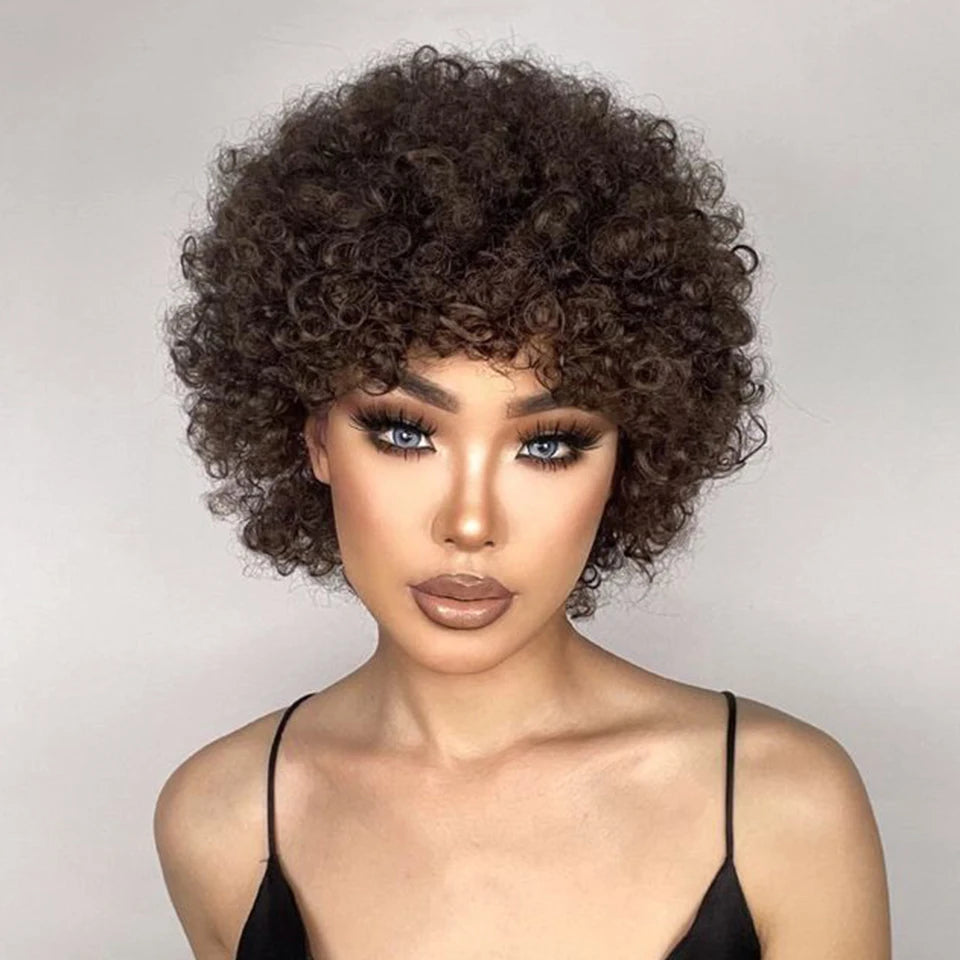 Debut Short Pixie Afro Kinky Curly Wigs for Black Women Glueless Natural Brown Bob Wig With Bangs Brazilian Human Hair Wigs