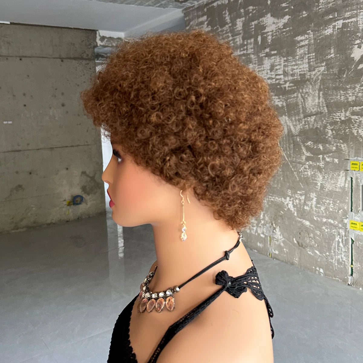 Cheap Short Afro Kinky Curly Wigs For Women Human Hair Brazilian Hair Human Hair Afro Wigs Full Machine Made Wig
