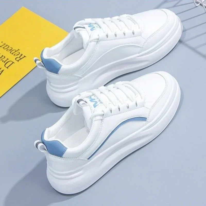 47223933042925|47223933075693|47223933173997|47223933206765|47223933239533|47223933272301