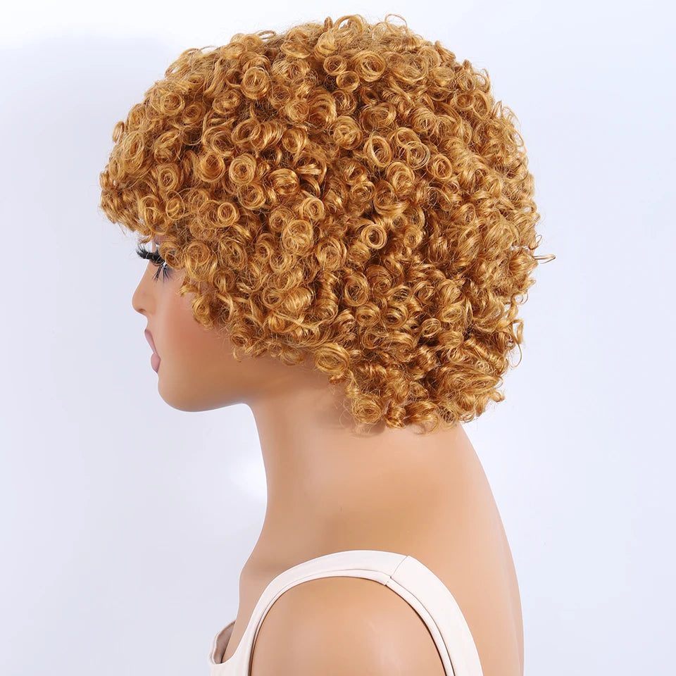 Lekker Colored Short Pixie Cut Curly Bob 100% Human Hair Wigs For Women Brazilian  remy Wigs