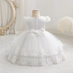 New High Quality Girl Birthday Dress Party Dress Princess Dress One Year Old Flower Girl Dress Lace Princess Dress Party Dress