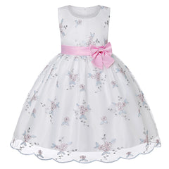 European and American embroidery dress dress girl's party lace princess dress flower child net gauze Pengpeng dress