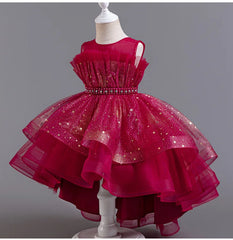 Flower Girl Dresses for Wedding White Champagne Red Pink Child Gala Evening Formal Luxury Birthday Puffy Irregular Elegant Dress