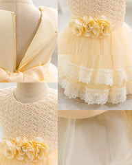 New High Quality Girl Birthday Dress Party Dress Princess Dress One Year Old Flower Girl Dress Lace Princess Dress Party Dress