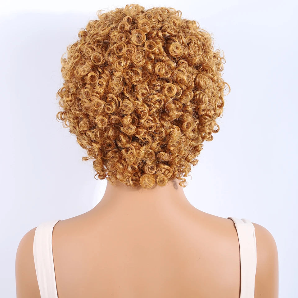 Lekker Colored Short Pixie Cut Curly Bob 100% Human Hair Wigs For Women Brazilian  remy Wigs