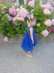 Children's Dress Princess  Embroidered Girl's Lace Flower Girl Trailing Ball Gown flower girl dresses vestidos para niñas