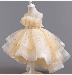 Flower Girl Dresses for Wedding White Champagne Red Pink Child Gala Evening Formal Luxury Birthday Puffy Irregular Elegant Dress