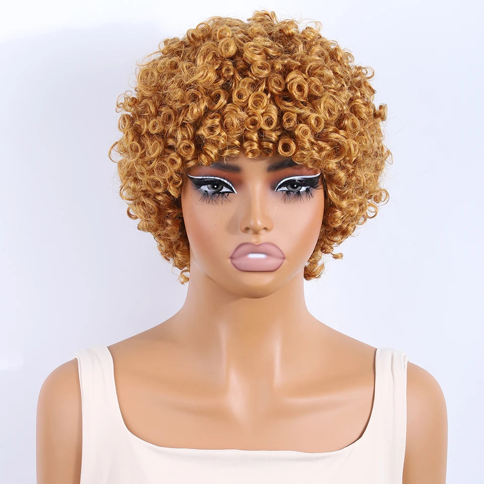 Lekker Colored Short Pixie Cut Curly Bob 100% Human Hair Wigs For Women Brazilian  remy Wigs