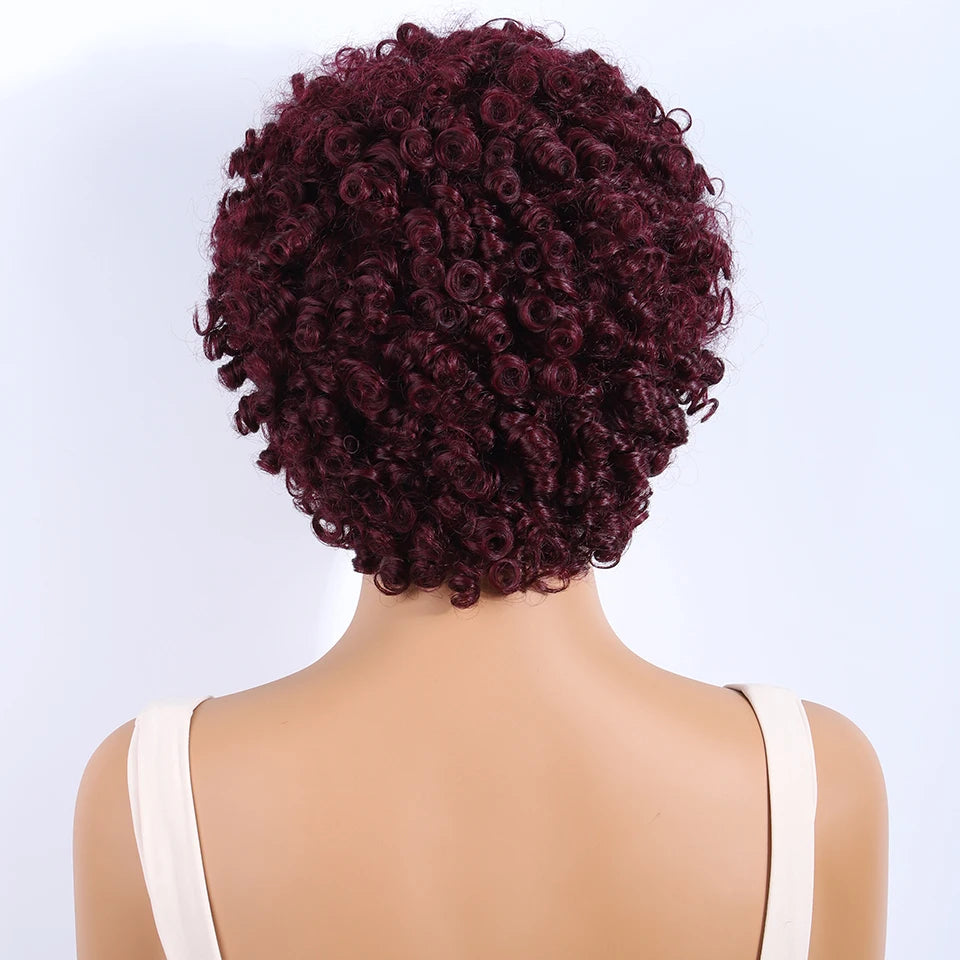 Lekker Colored Short Pixie Cut Curly Bob 100% Human Hair Wigs For Women Brazilian  remy Wigs