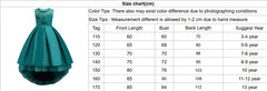 Children's Dress Princess  Embroidered Girl's Lace Flower Girl Trailing Ball Gown flower girl dresses vestidos para niñas