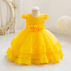 New High Quality Girl Birthday Dress Party Dress Princess Dress One Year Old Flower Girl Dress Lace Princess Dress Party Dress