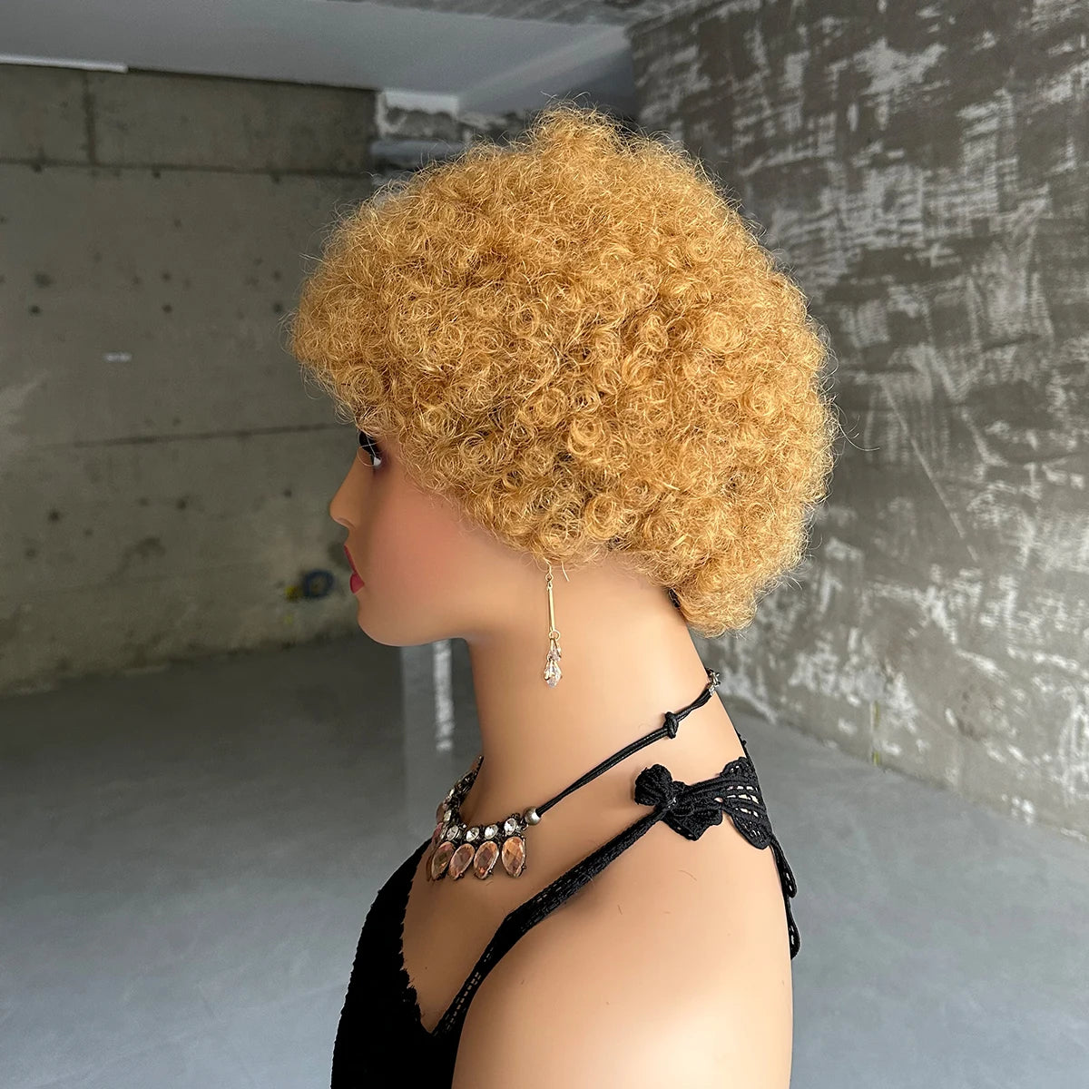 Cheap Short Afro Kinky Curly Wigs For Women Human Hair Brazilian Hair Human Hair Afro Wigs Full Machine Made Wig