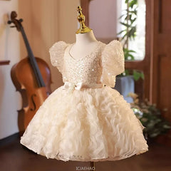 2025 Girls New Flower Girl Princess Dress Kids First Birthday Party Performance Gown Flower Girl Wedding Formal Occasion Wear