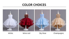 Flower Girl Dresses for Wedding White Champagne Red Pink Child Gala Evening Formal Luxury Birthday Puffy Irregular Elegant Dress