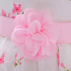 Baby Girls Party Dresses For 1st Birthday Wedding Dress Newborn Elegant Flower Girl Princess Dress Sleeveless Children Dresses