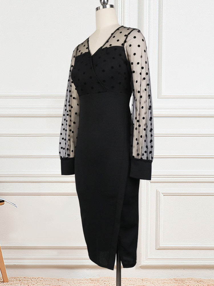 Women Sheer Long Sleeves Polka Dot Bodycon Dress Office Ladies